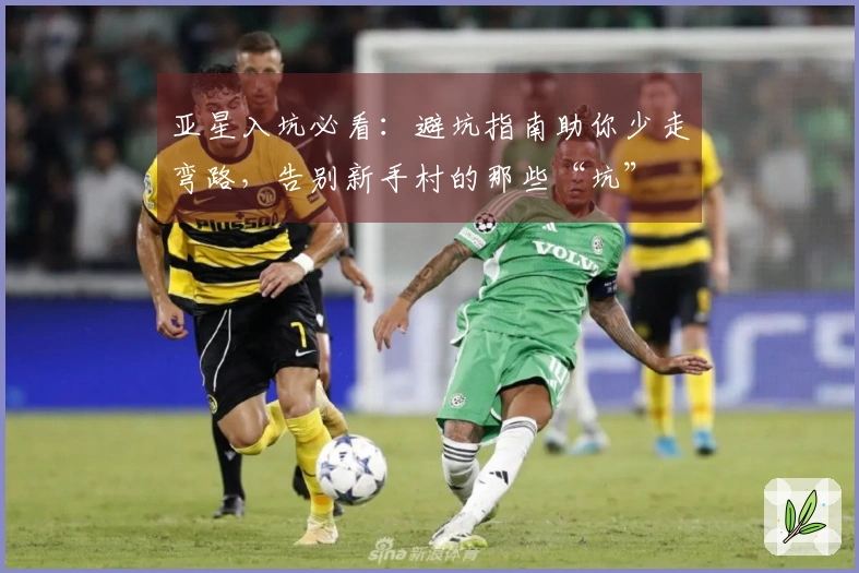 亚星入坑必看：避坑指南助你少走弯路，告别新手村的那些“坑”