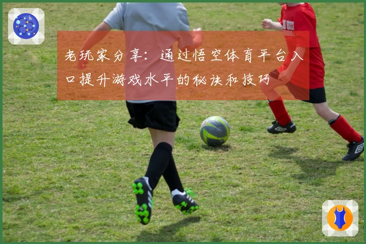 老玩家分享：通过悟空体育平台入口提升游戏水平的秘诀和技巧