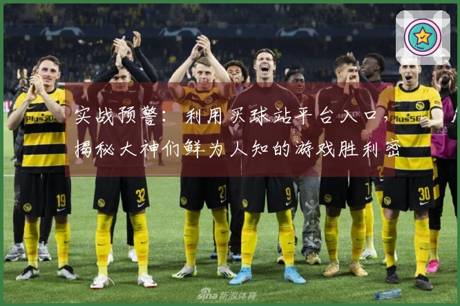 实战预警：利用买球站平台入口，揭秘大神们鲜为人知的游戏胜利密码