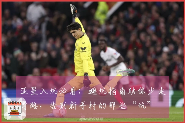亚星入坑必看：避坑指南助你少走弯路，告别新手村的那些“坑”