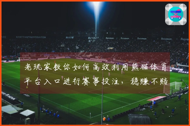 老玩家教你如何高效利用熊猫体育平台入口进行赛事投注，稳赚不赔小技巧分享