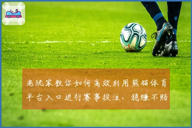 老玩家教你如何高效利用熊猫体育平台入口进行赛事投注，稳赚不赔小技巧分享
